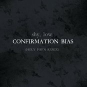 Confirmation Bias (Holy Fawn Remix)