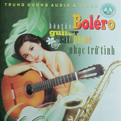 hoa tau bolero guitar & saxo