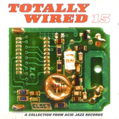 Totally Wired 15