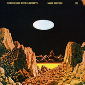 Nurses Song With Elephants