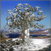 Obscured by a Setting Sun: Opus 2