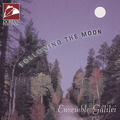 The Gentle Swan by Ensemble Galilei