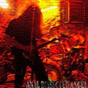 True Anal Melodies (Demo)