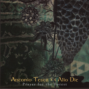 Prayer For The Forest by Antonio Testa & Alio Die