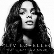 Won't Say Too Much - Single