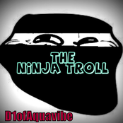 The Ninja Troll