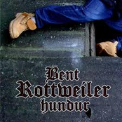 Bent Rottweiler Hundur