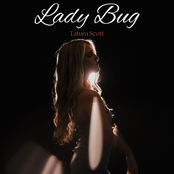 Lady Bug
