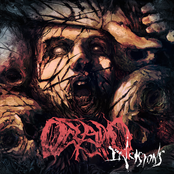 Incisions by Oceano