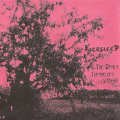 The Devils Themselves