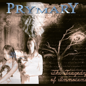 In My Shell by Prymary