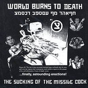 The Sucking Of The Missile Cock by World Burns To Death