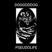 Pseudolife