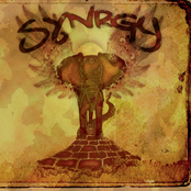 Synrgy: Synrgy