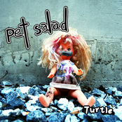 Rusty Words by Pet Salad