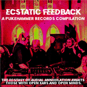 Ecstatic Feedback - A Pukehammer Records Compilation