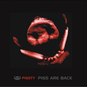 False Preachers by Pigsty