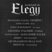 Elegy Sampler 55