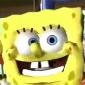 all the small things