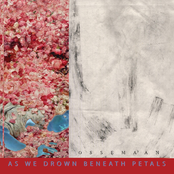 As We Drown Beneath Petals