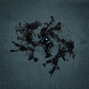 My Tomb Beneath The Tide