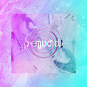 Pellucid