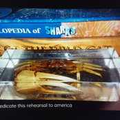 i dedicate this rehearsal to america