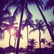 Blunts before breakfast