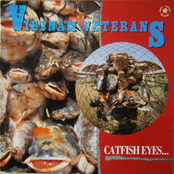 Catfish Eyes And Tales