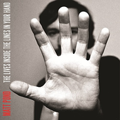 The Lives Inside The Lines In Your Hand by Matt Pond