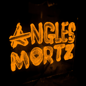 Angles Mortz