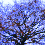 Here's To You, Lost Youth