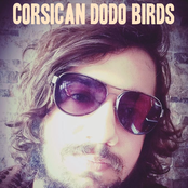 corsican dodo birds