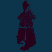 We Are Under the Sun