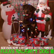 Fleas Naughty Dog Vol. 3