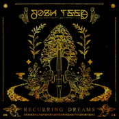 Josh Teed: Recurring Dreams