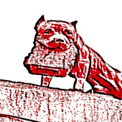 THINGS YOU NEED TO TRY BEFORE DYING