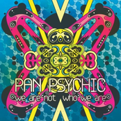 We Are Not Who We Are by Pan Psychic