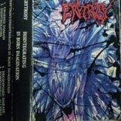 Disintegrating In born Imagination