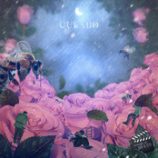 Gulabo (feat. D-0) - Single