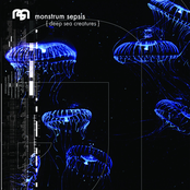 Tantric Presentiment by Monstrum Sepsis