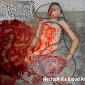 Necrophilia Blood and Shit