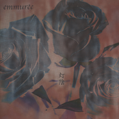 Roses ～骨と薔薇と闇と光～ by Emmurée