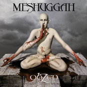 Pineal Gland Optics by Meshuggah