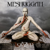 Meshuggah: obZen