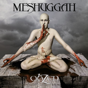 Meshuggah: ObZen