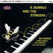Nola by B. Bumble & The Stingers