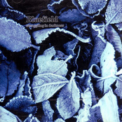 Struggling In Darkness