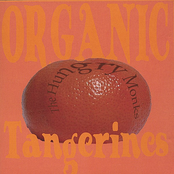 Organic Tangerines