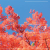 Relying upon gravity